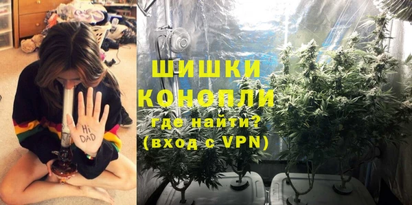 стаф Аркадак