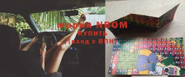 стаф Аркадак